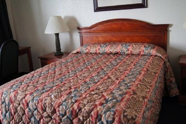 Budget Inn image 9